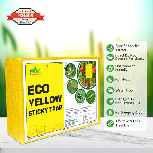 Eco Yellow Sticky Trap size A5(150mm*200mm) Pack of 25 Pieces | Sticky Trap For Sucking Pest