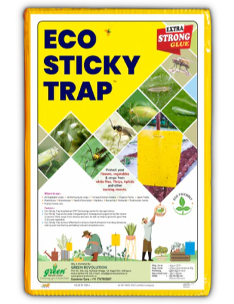 Sticky Trap