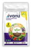 Bio fertilizer