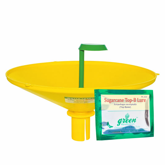 Water Trap With Sugarcane Top-B Lure | Pheromone Trap for Sugarcane Top Borer (Scirpophaga excerptalis)