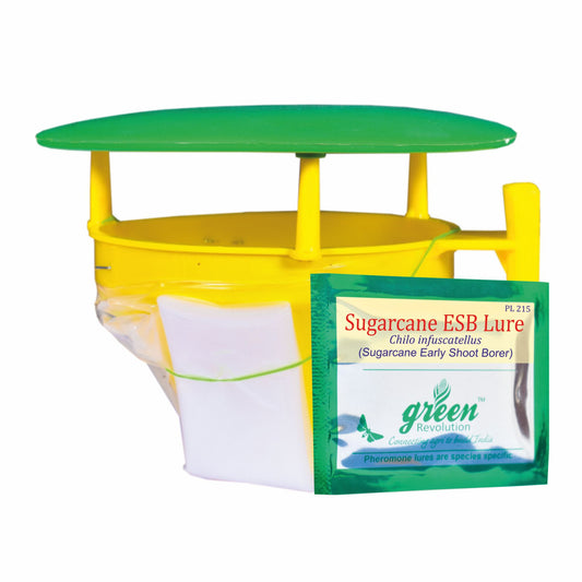 Funnel Trap with Sugarcane ESB Lure For Sugarcane Early Shoot Borer(Chilo infuscatellus) | Pheromone Trap for Sugarcane