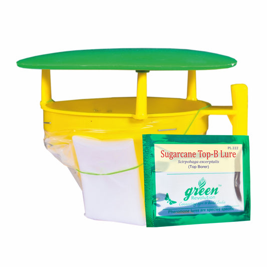 Funnel Trap With Sugarcane Top-B Lure For Top Borer(Scirpophaga excerptalis) | Pheromone Trap For Sugarcane