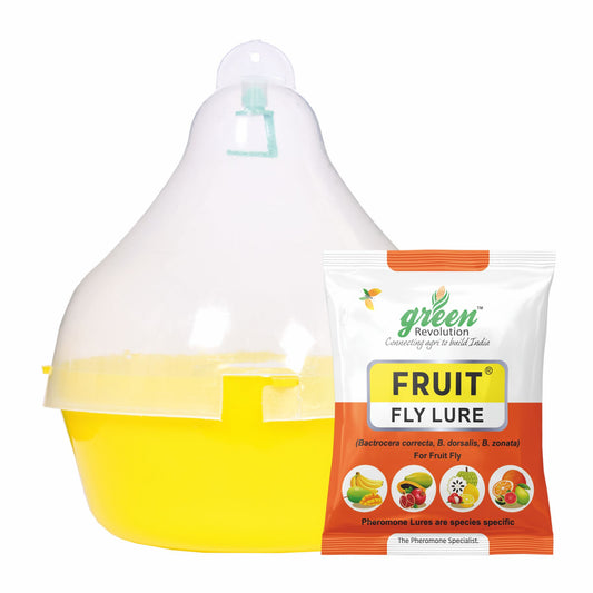 Maxplus Trap With Fruit Fly Lure For Fruit Crops | Fruit Fly Trap For Horticulture Fruit Crops