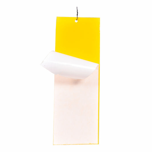 PVC Yellow Sticky Trap 11*28cm | Sticky Trap for White fly Aphids, Jassids,White Fly