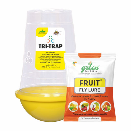 Fruit Fly Trap/ TRI-Trap With Fruit Fly Lure For Mango and Fruit Crops | Mango Fruit Fly Trap