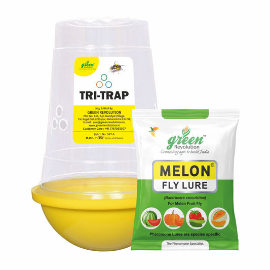 Melon Fly Trap/ TRI-Trap With Melon Fly Lure For Fruit Fly | Pheromone trap For Watermelon And cucurbits