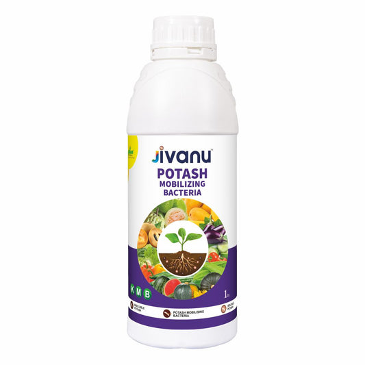 Jivanu KMB Potassium Solubilizing and Mobilizing Bacteria Liquid 1 lit