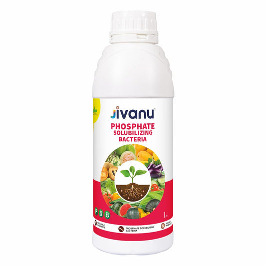 Jivanu PSB Phosphate Solubilizing Bacteria Liquid 1 Lit
