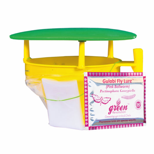 Funnel Trap With Gulabi Fly Lure For Pink Bollworm (Pectinophora gossypiella) | Pheromone Trap for cotton