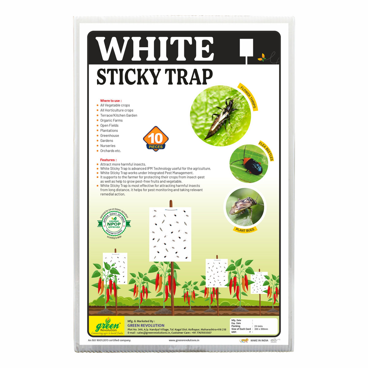 White Sticky Trap size A4(200mm*300mm) Pack of 25 Pieces | Sticky Trap For Flower Thrips and Leaf Eating bugs