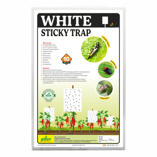 White Sticky Trap size A4(200mm*300mm) Pack of 25 Pieces | Sticky Trap For Flower Thrips and Leaf Eating bugs