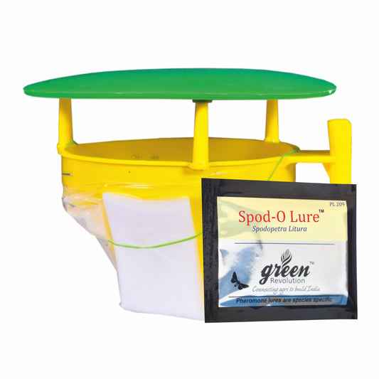 Funnel Trap With Spod-O Lure For Tobacco Caterpillar (Spodoptera litura)| Pheromone Trap For Tobacco Caterpillar