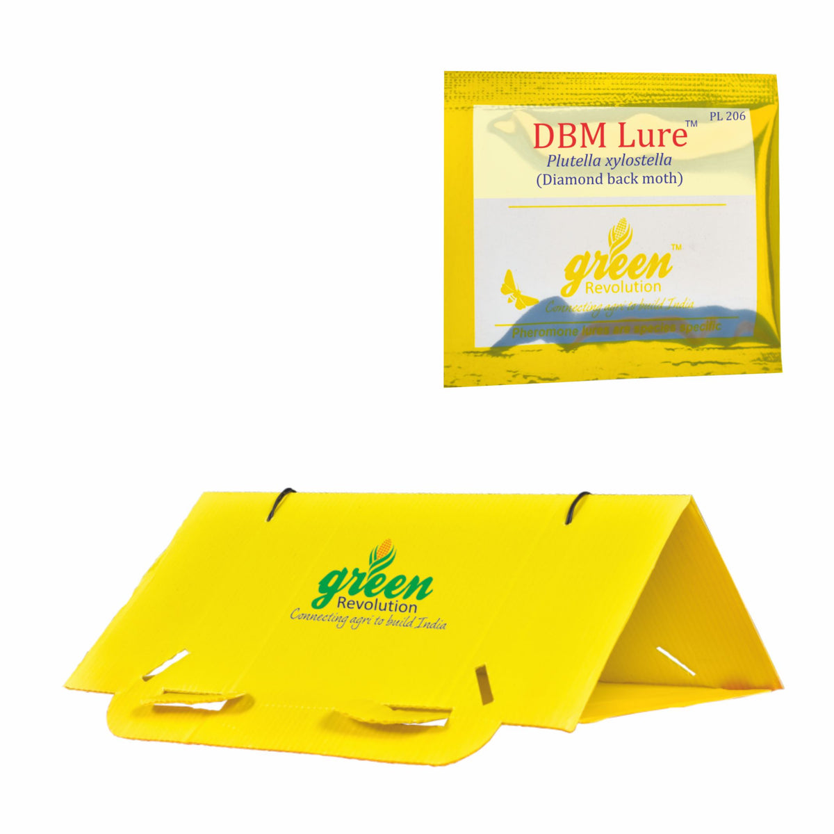 Delta Trap With DBM Lure For DiamondBack Moth(Plutella xylostella) | Pheromone Trap For Cabbage