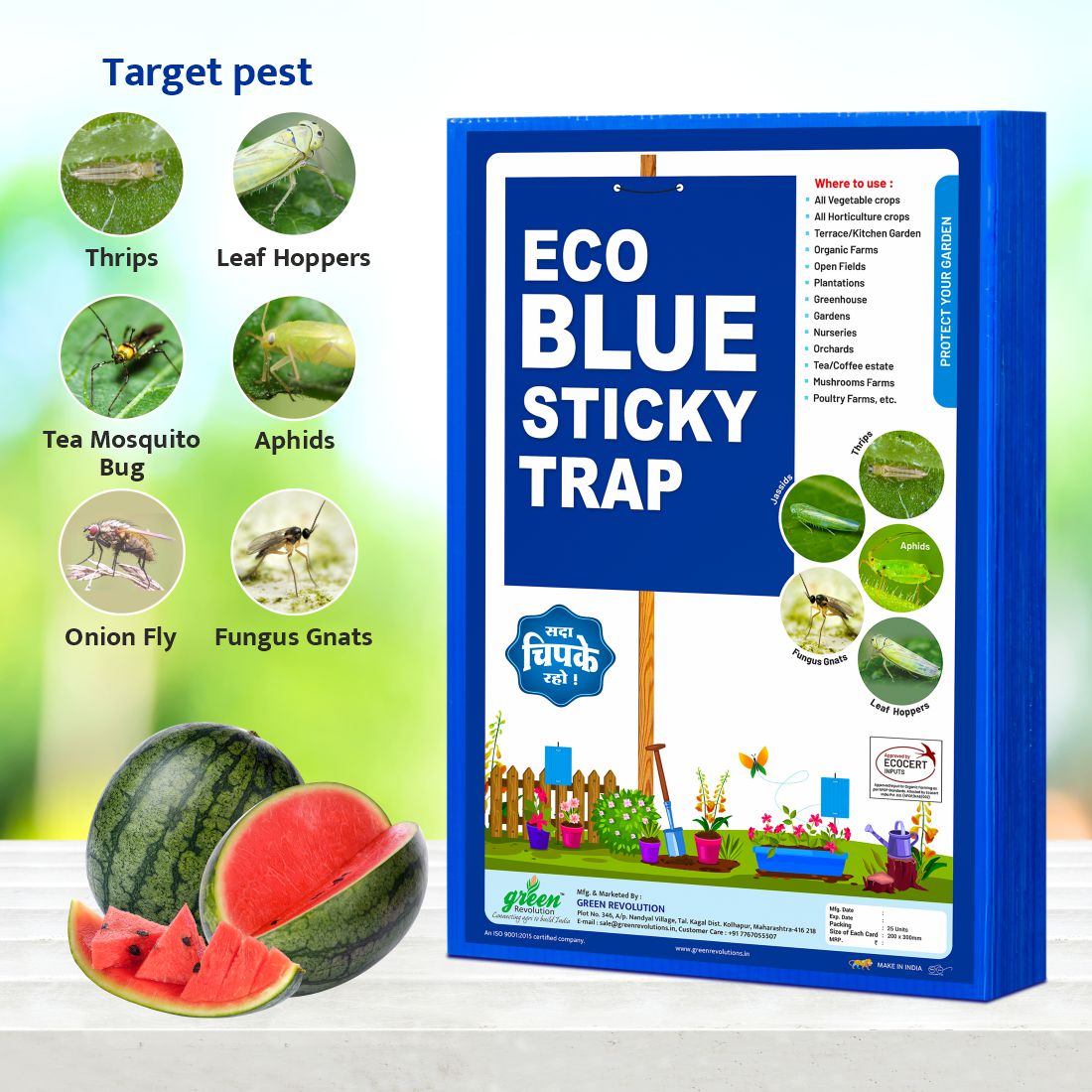 Eco Blue Sticky Trap size A4(200mm*300mm) Pack of 25 Pieces | Sticky Trap For Sucking Pest