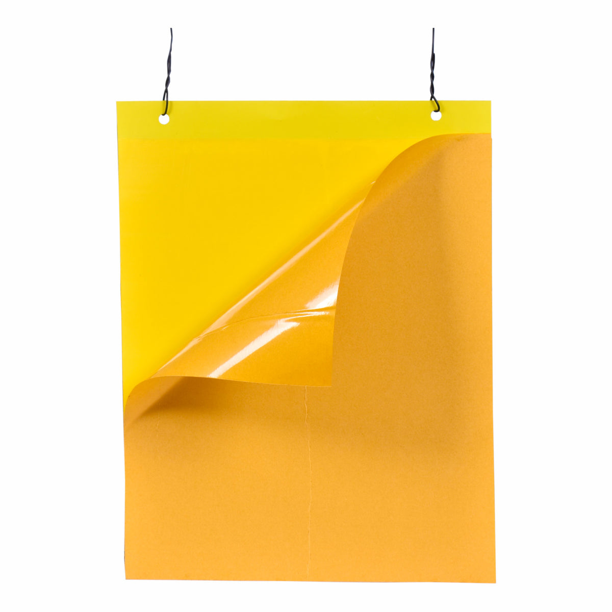 PVC Yellow Sticky Trap 22*28cm | Sticky Trap for White fly Aphids, Jassids,White Fly
