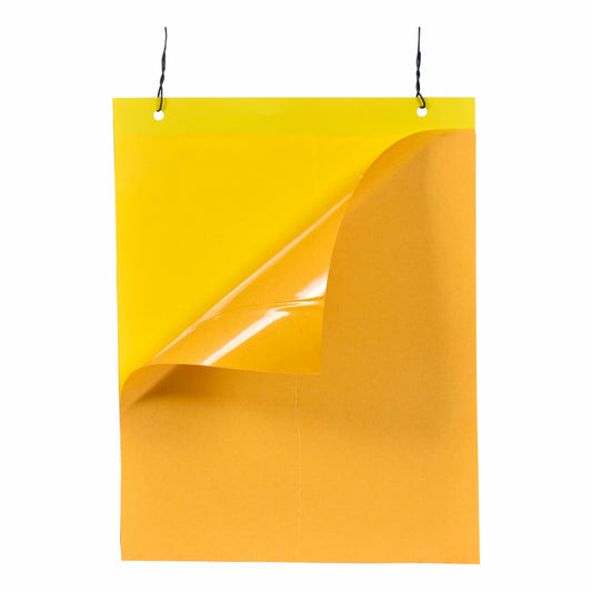 PVC Yellow Sticky Trap 22*28cm | Sticky Trap for White fly Aphids, Jassids,White Fly