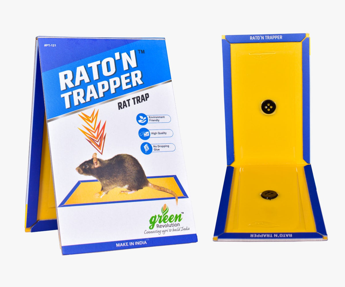 Ratton Trapper Small |Rat Trap/ Mouse Glue Trap | Trap for Mouse and rats