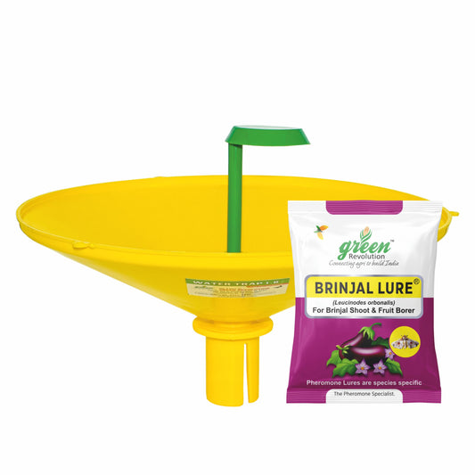 Water Trap With Brinjal Lure For Brinjal | Pheromone Trap For Brinjal Fruit Shoot Borer  (Leucinodes orbonalis)