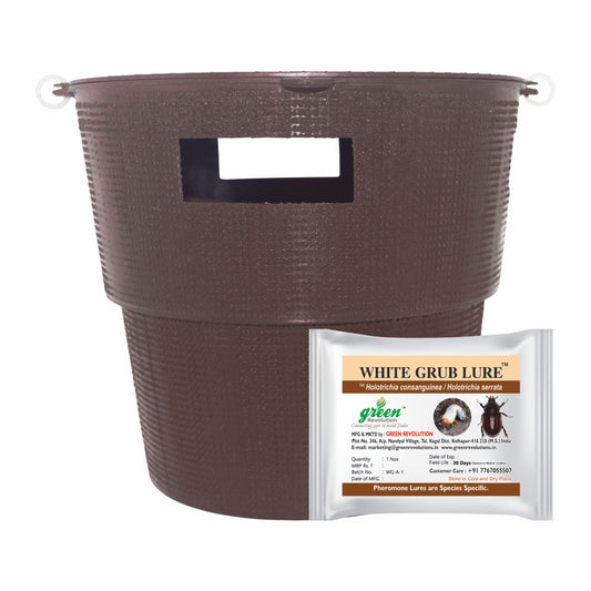 Bucket Trap With White Grub Lure | Phermone Trap For White Grub Beetles (H.serrata,H.consangunia)