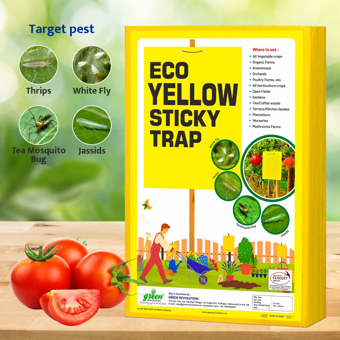 Eco Yellow Sticky Trap size A4(200mm*300mm) Pack of 25 Pieces | Sticky Trap For Sucking Pest