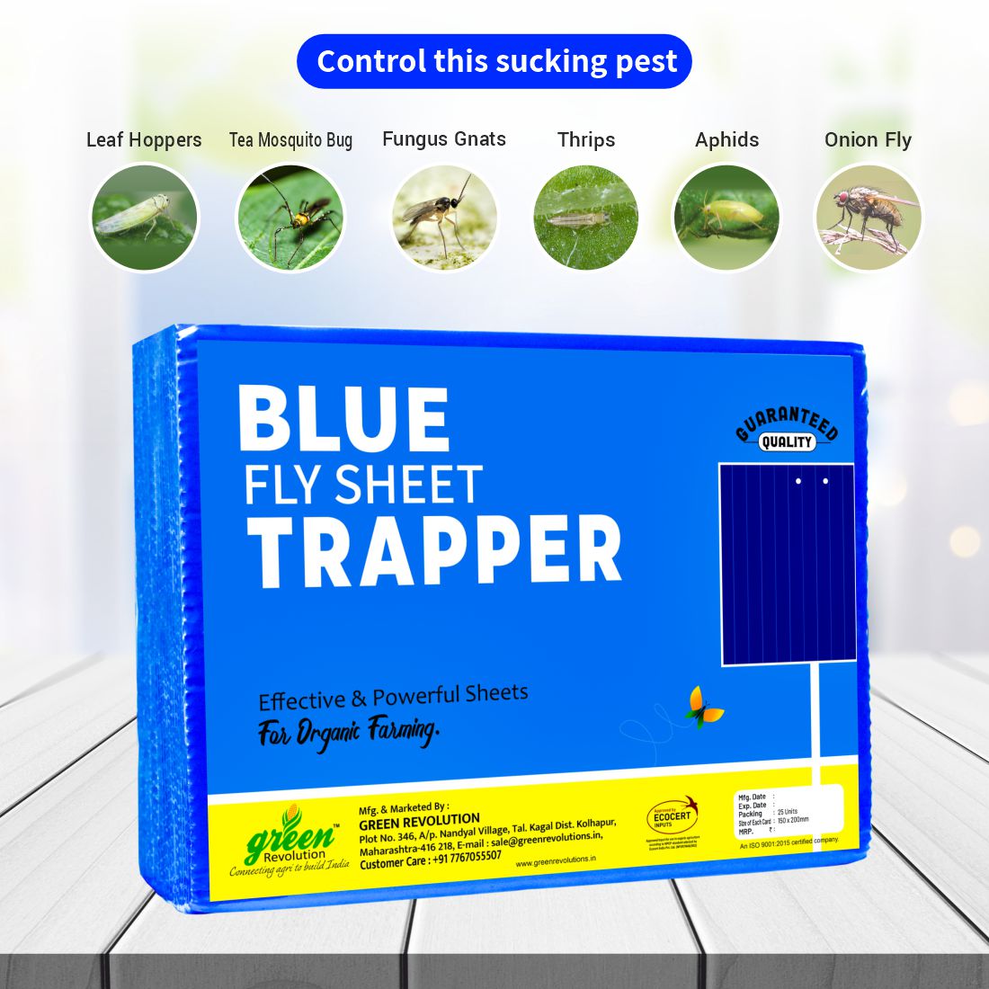 Eco Blue Sticky Trap size A5(150mm*200mm) Pack of 25 Pieces | Sticky Trap For Sucking Pest