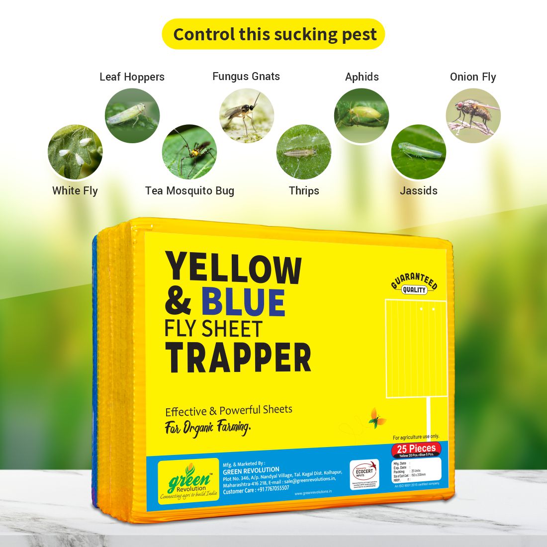 Eco Yellow+Blue Mix Sticky Trap size A5(150mm*200mm) Pack of 25 Pieces | Sticky Trap For Sucking Pest