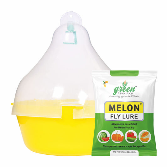 Maxplus Trap With Melon Fly Lure For Cucurbits | Fruit Fly Trap For Melons and Cucurbits