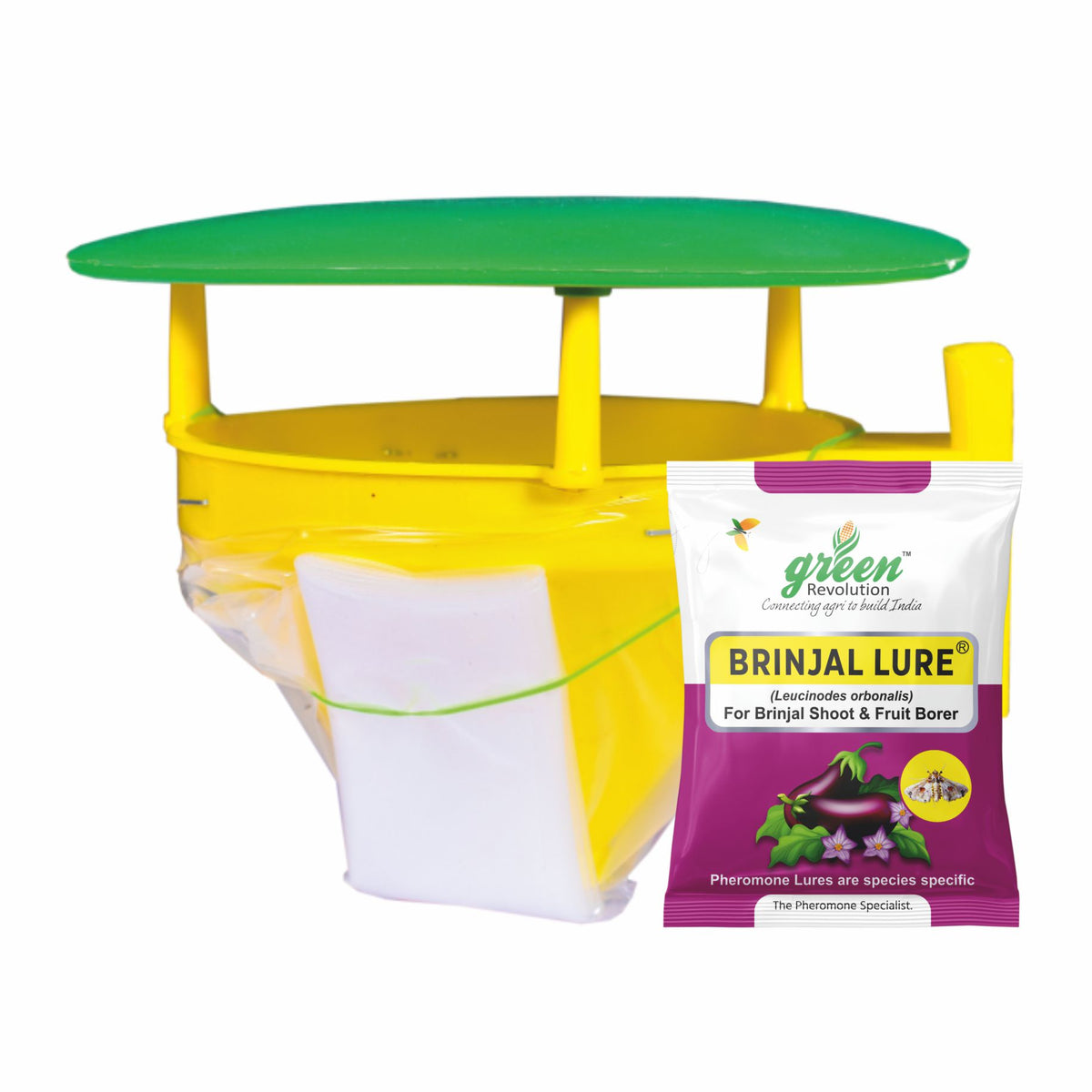 Funnel Trap With Brinjal Lure For Brinjal | Pheromone Trap For Brinjal Fruit Shoot Borer(Leucinodes orbonalis)