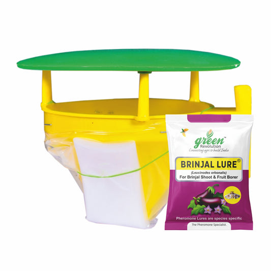 Funnel Trap With Brinjal Lure For Brinjal | Pheromone Trap For Brinjal Fruit Shoot Borer(Leucinodes orbonalis)