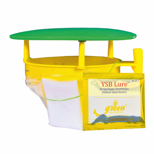 Funnel Trap With YSB Lure For Yellow Stem Borer(Scirpophaga incertulas) | Rice Yellow Stem Borer Pheromone Trap