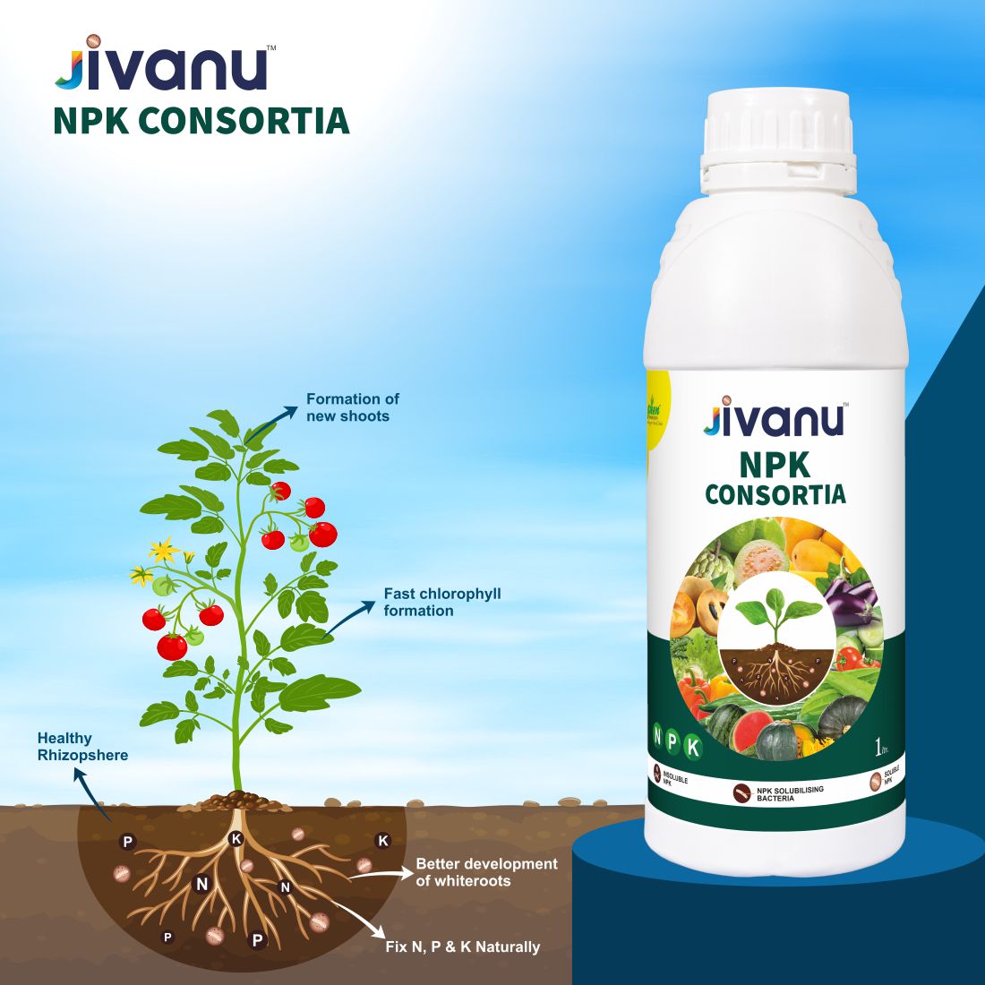 Jivanu NPK Consortia Liq 1 lit