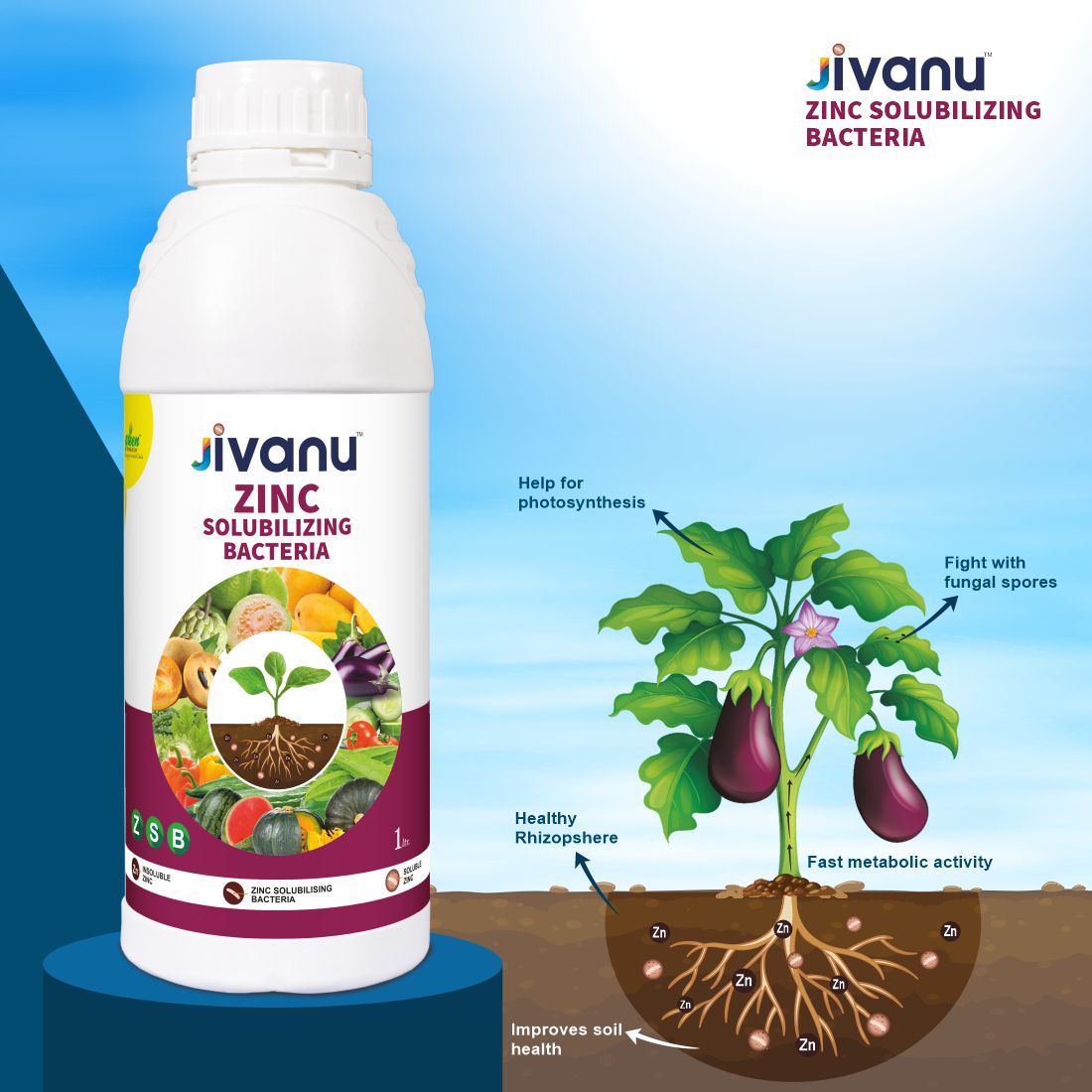 Jivanu ZMB Zink Solubilizing  Bacteria Liquid 1 lit