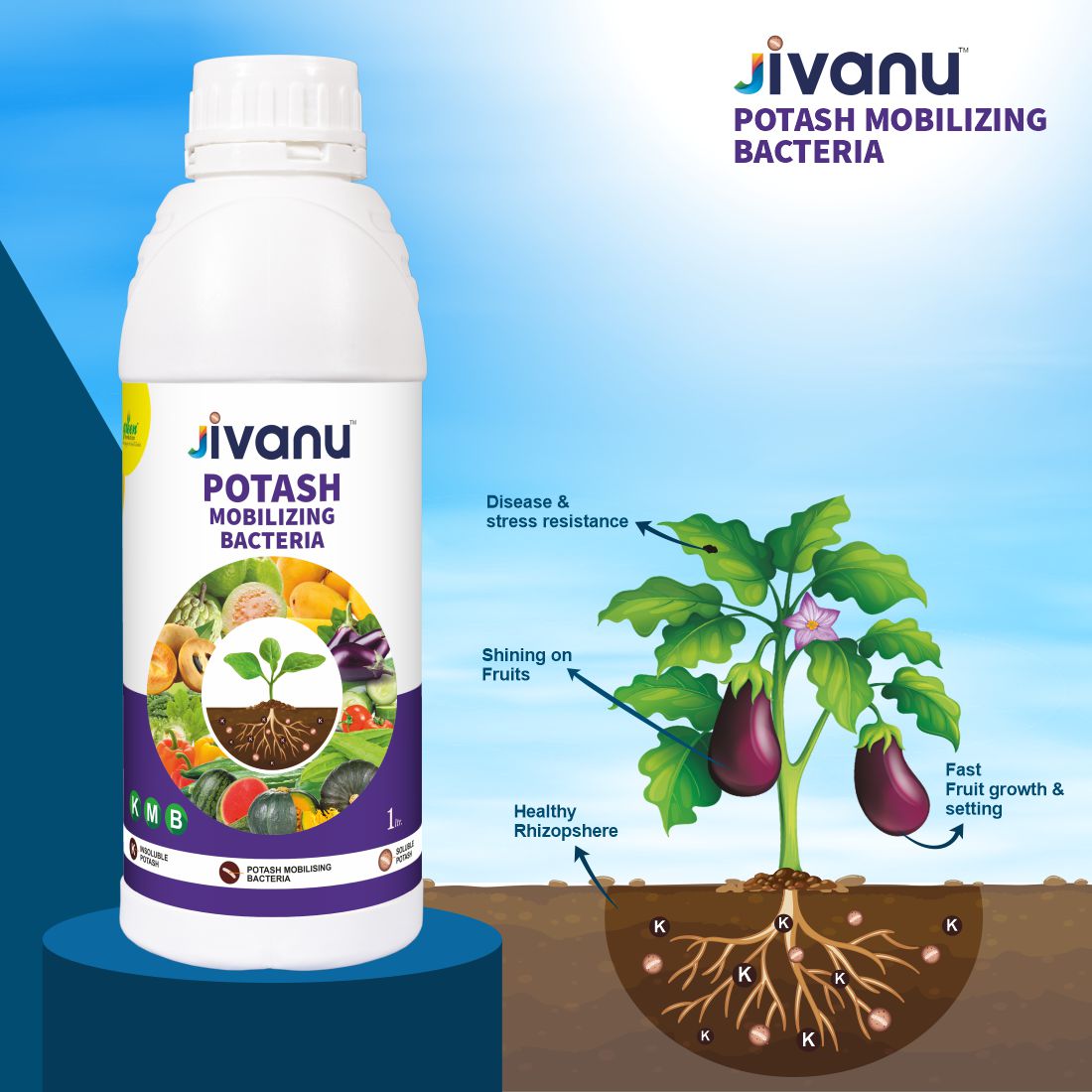Jivanu KMB Potassium Solubilizing and Mobilizing Bacteria Liquid 1 lit