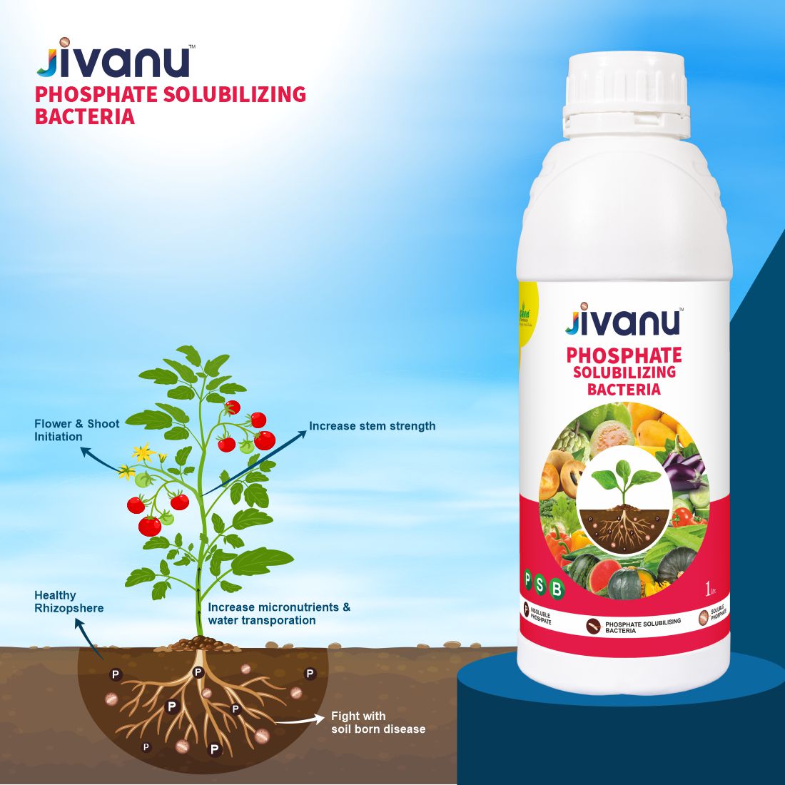 Jivanu PSB Phosphate Solubilizing Bacteria Liquid 1 Lit