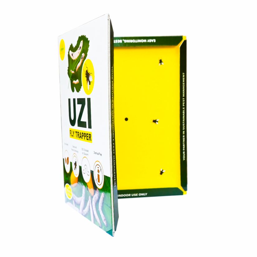 UZI Fly Trapper for sericulture farming used to control Uzi Flies | Uzi Fly Trap