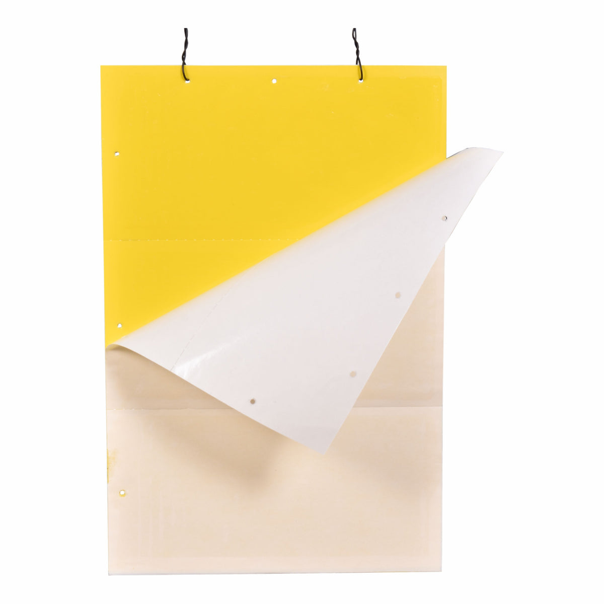 PVC Yellow Sticky Trap 25*33cm | Sticky Trap for White fly Aphids, Jassids,White Fly