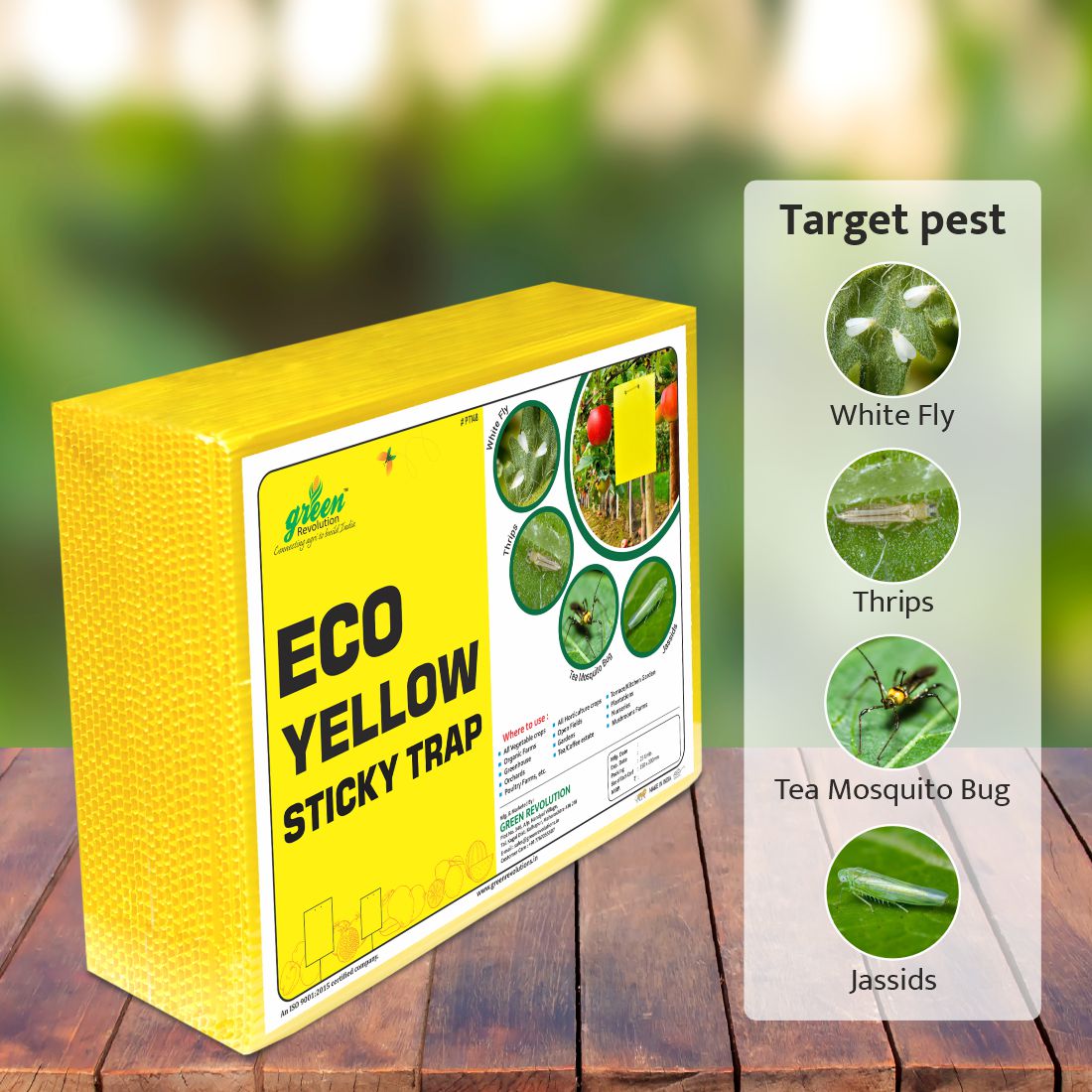Eco Yellow Sticky Trap size A5(150mm*200mm) Pack of 25 Pieces | Sticky Trap For Sucking Pest