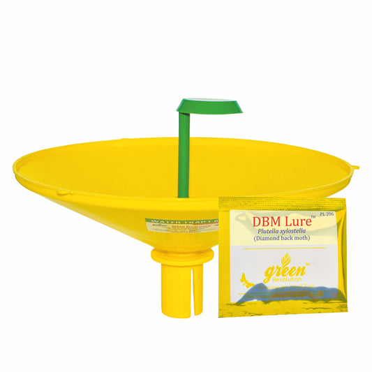 Water Trap With DBM Lure For DiamondBack Moth(Plutella xylostella) | Pheromone Trap For Cabbage