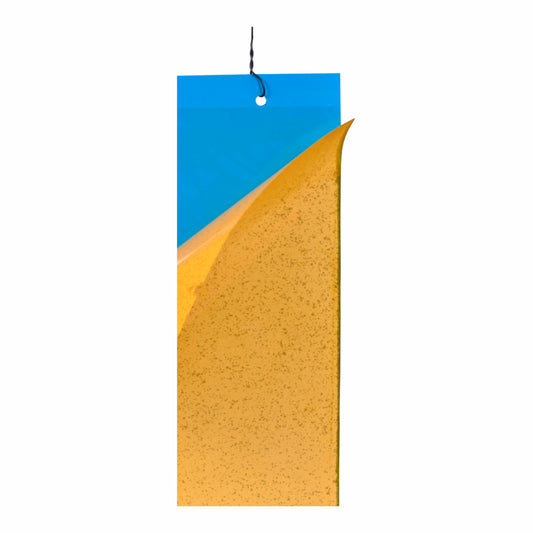 PVC Blue Sticky Trap 11*28cm | Best Trap for chilli & Onion | Sticky Trap for Chilli Thrips,Leaf Miner Fly