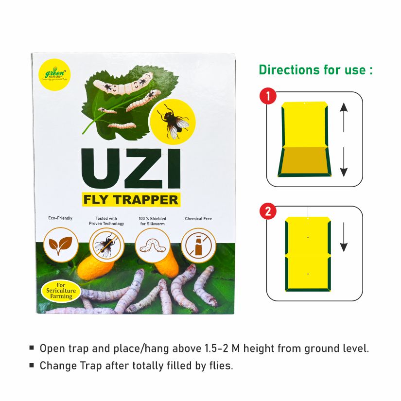 UZI Fly Trapper for sericulture farming used to control Uzi Flies | Uzi Fly Trap