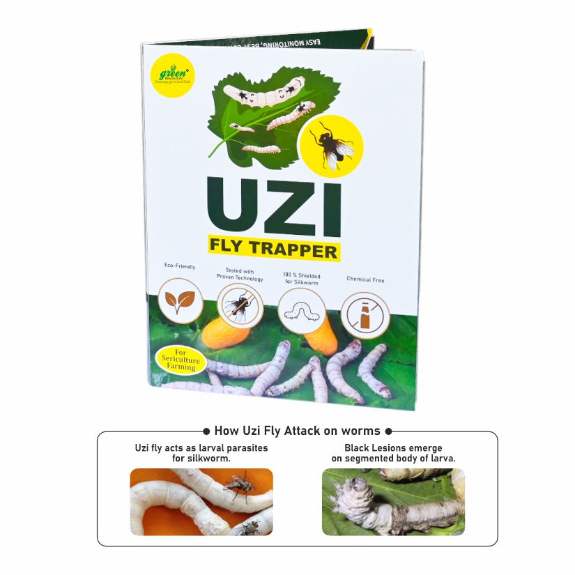 UZI Fly Trapper for sericulture farming used to control Uzi Flies | Uzi Fly Trap