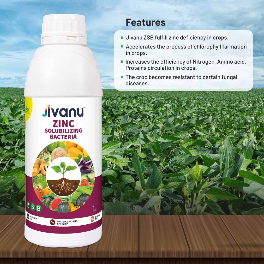 Jivanu ZMB Zink Solubilizing  Bacteria Liquid 1 lit