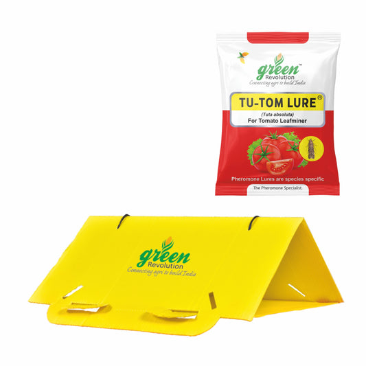 Delta Trap With Tu Tom Lure For Tomato Leaf Miner (Tuta absoluta)| Pheromone Trap for Tomato