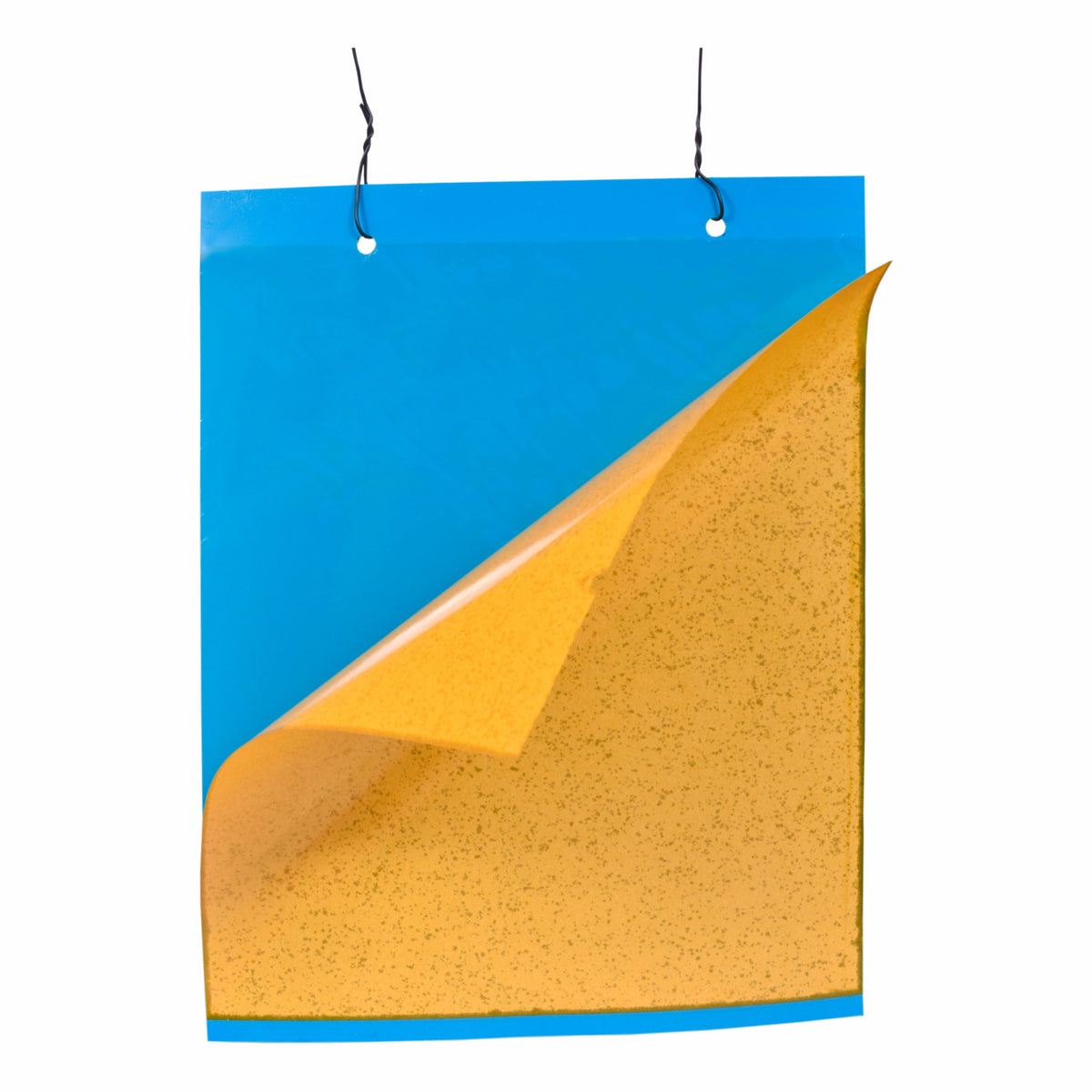PVC Blue Sticky Trap 22*28cm | Best Trap for chilli & Onion | Sticky Trap for Chilli Thrips,Leaf Miner Fly