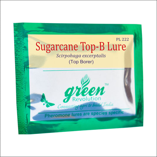 Pheromone Lure for Sugarcane Top Borer Control| Sugarcane Top B Lure | Sugarcane Top Borer (Scirpophaga excerptalis) Control