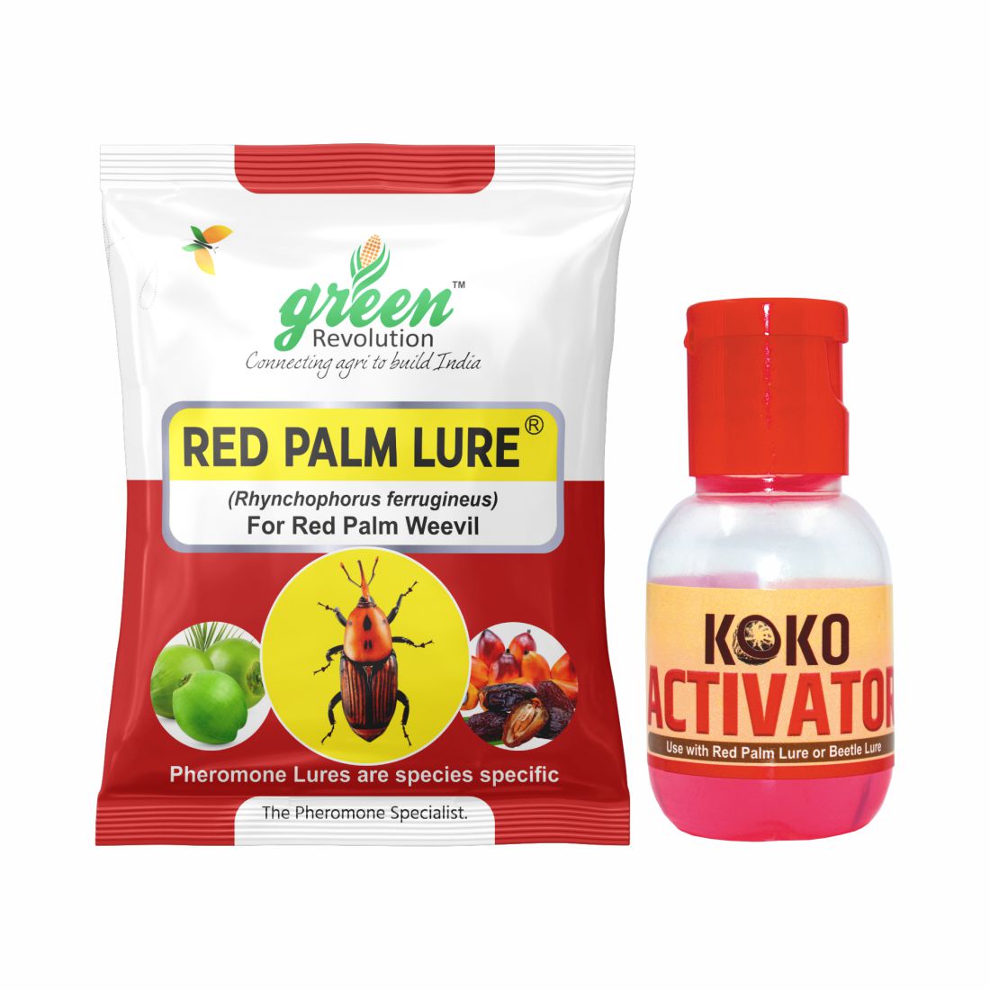 Pheromone Lure for Red Palm Weevil Control | Red Palm Lure | Red Palm Weevil (Rhynchophorus ferrugineus)