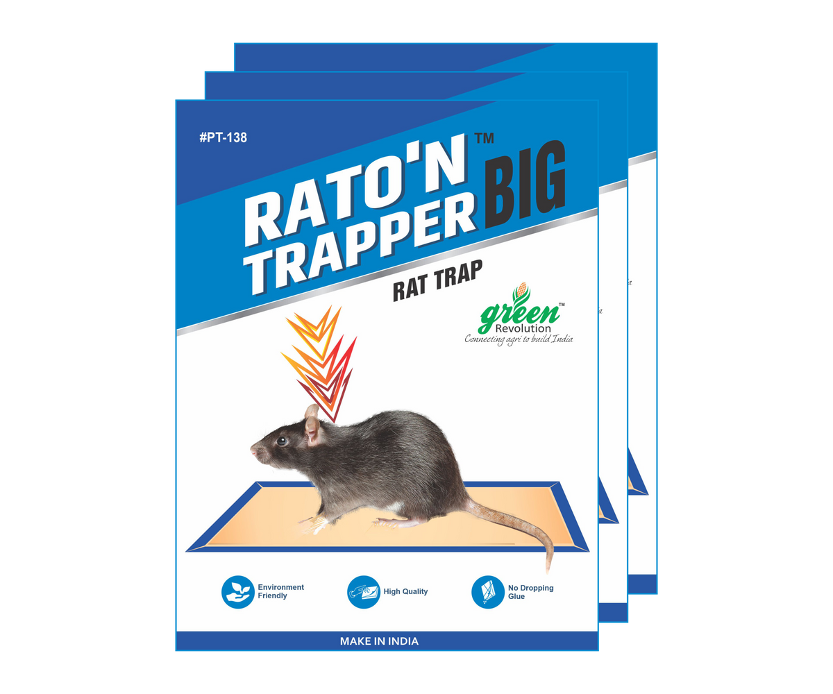 Ratton Trapper Big |Rat Trap/ Mouse Glue Trap | Trap for Mouse and rats