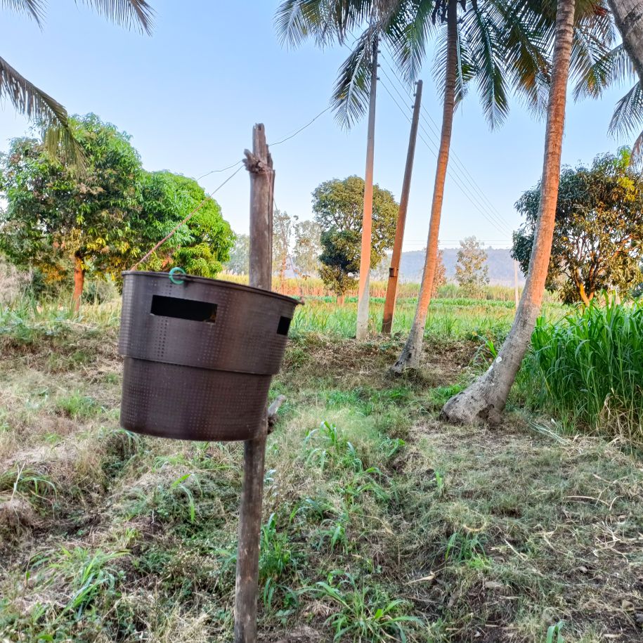 Bucket Trap For Coconut (Only Trap)