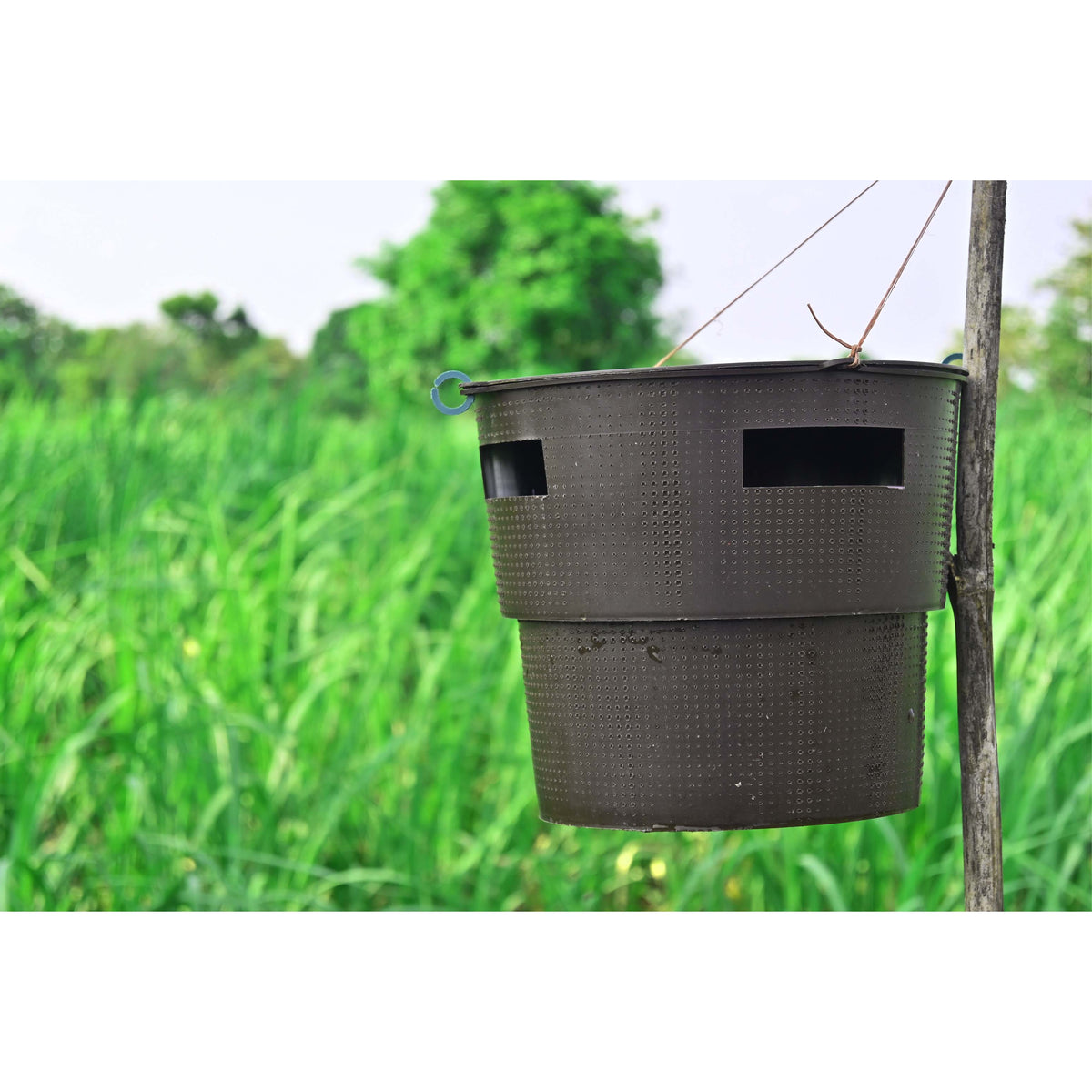 Bucket Trap With White Grub Lure | Phermone Trap For White Grub Beetles (H.serrata,H.consangunia)