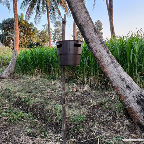Bucket Trap With Beetle Lure  For Coconut | Pheromone Trap for coconut